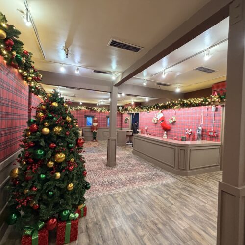 Cozy cabin environment featuring holiday rugs, Christmas trees, and plaid walling.